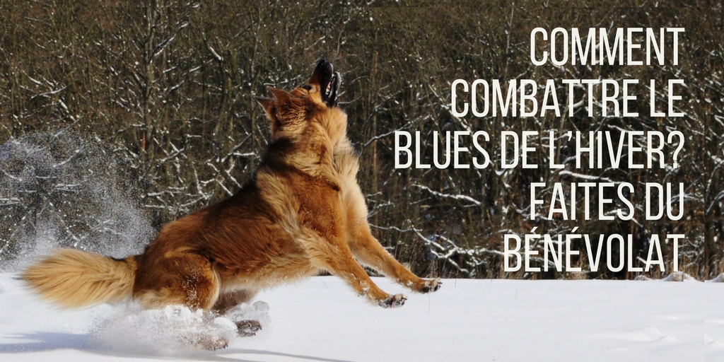 Comment combattre le blues de l'hiver? Faites du bénévolat!
